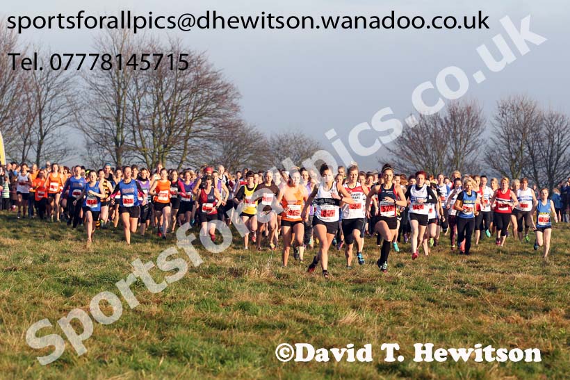 Senior women's NEHL, Aykley Heads, Durham. Photo: David T. Hewitson/Sports for All Pics